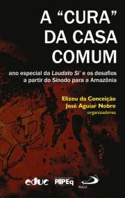 A "Cura" da Casa Comum - ano especial da Laudato Si' e os desafios a partir do Snodo para a Amaznia