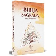 Bblia Sagrada Iniciao  Vida Crist - Novo Design