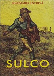 Sulco